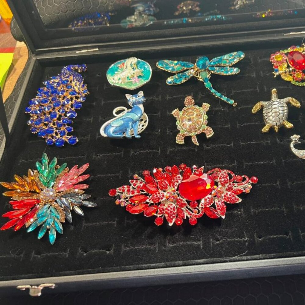 Ladies Brooches Bundle #11-10 Brooches in Total-NEW! - Picture 1 of 2